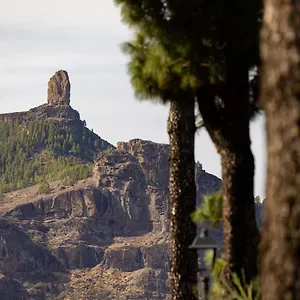 Casa Maria With Roque Nublo View Apartment